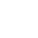 Ship Icon